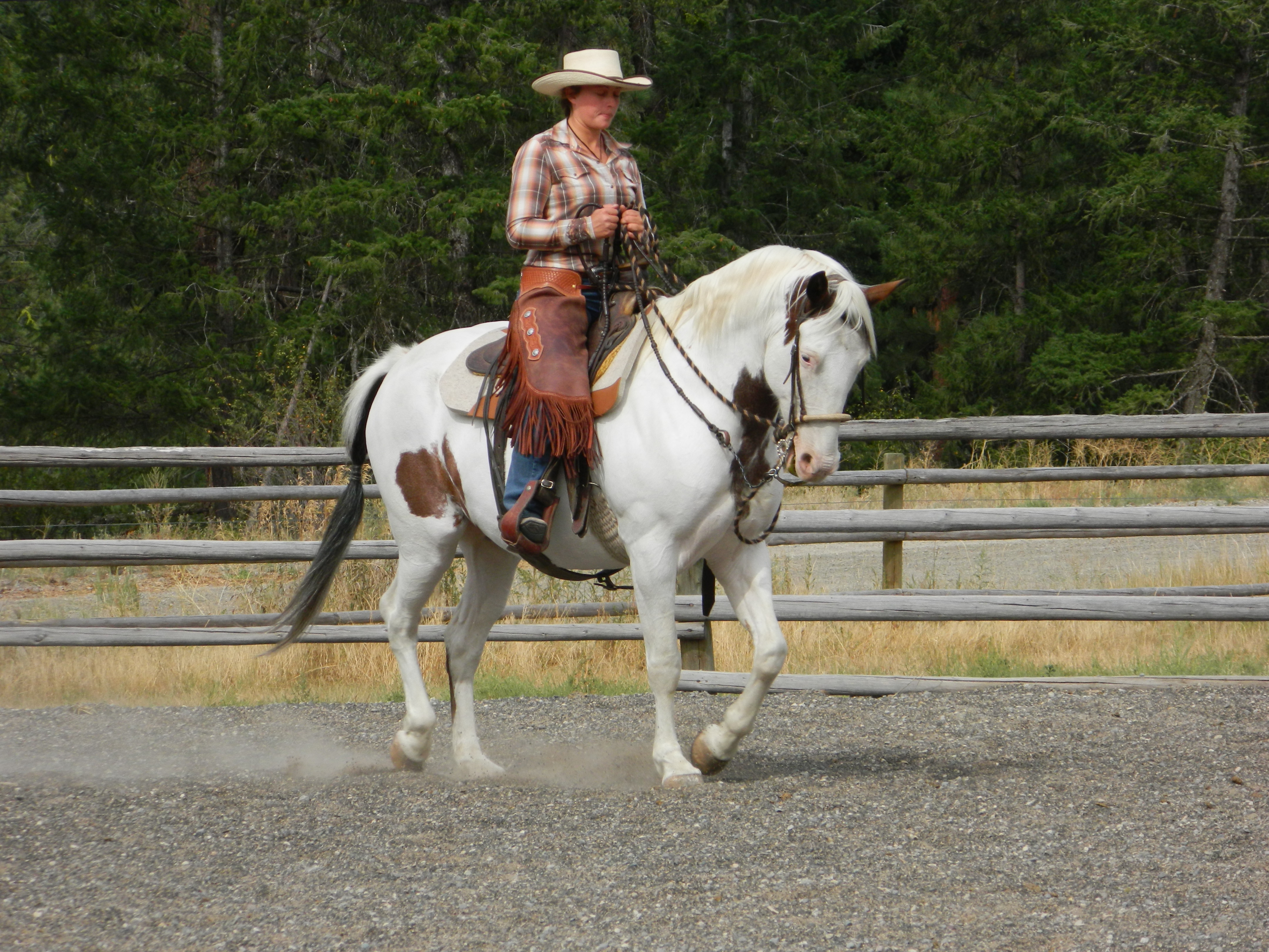 The Art of the Bridle Horse | Lodestar Horsemanship